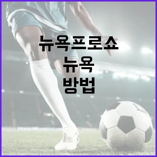 뉴욕프로쇼를 최대한 즐기는 방법 - 요약