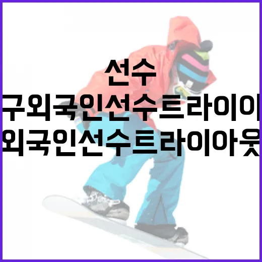 프로배구 외국인선수 트라이아웃 명단을 확인하는 방법 - 요약