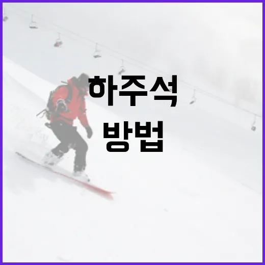 하주석의 효과적인 활용 방법 - 요약