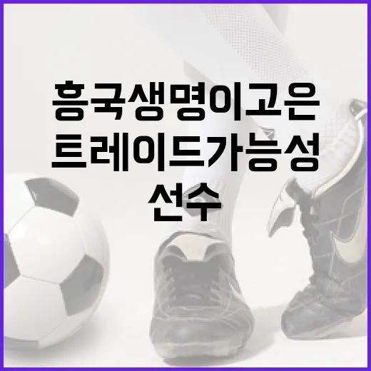 흥국생명 이고은 선수의 트레이드 가능성 알아보기 - 요약