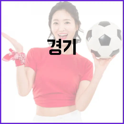 ZFN 경기일정을 효율적으로 확인하는 방법 - 요약