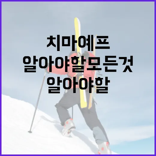 션 치마예프에 대해 알아야 할 모든 것 - 요약