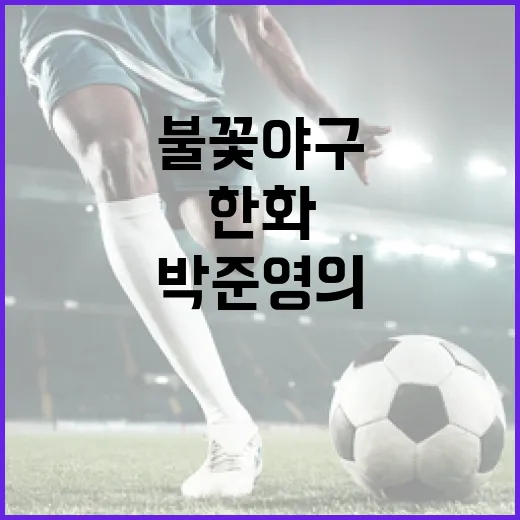 한화 팬이라면 꼭 알아야 할 박준영의 불꽃야구 비법 - 요약