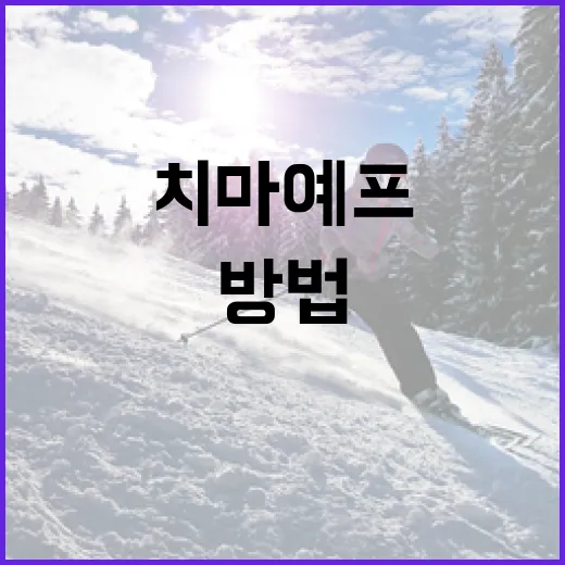 치마예프를 제대로 즐기는 방법 - 요약
