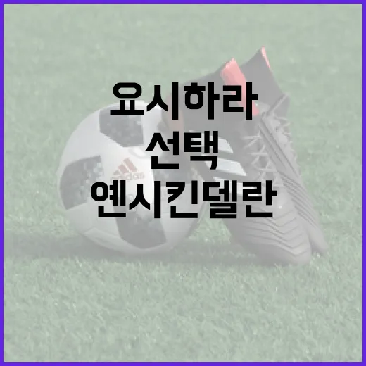 요시하라와 옌시 킨델란을 선택하는 방법 - 요약