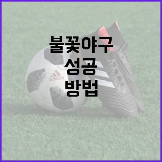 불꽃야구 박준영의 성공 비결을 배우는 방법 - 요약
