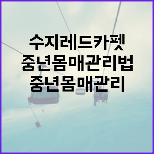 수지 레드카펫 패션 따라하기와 중년 몸매관리법 - 요약