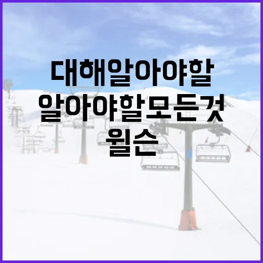 조던 윌슨에 대해 알아야 할 모든 것 - 요약