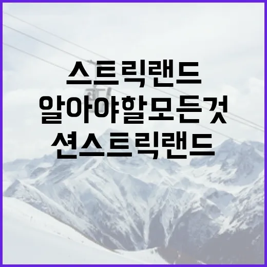 션 스트릭랜드에 대해 알아야 할 모든 것 - 요약