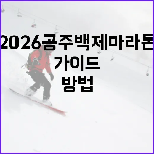 2026 공주백제마라톤 준비하는 방법: 초보자를 위한 가이드 - 요약