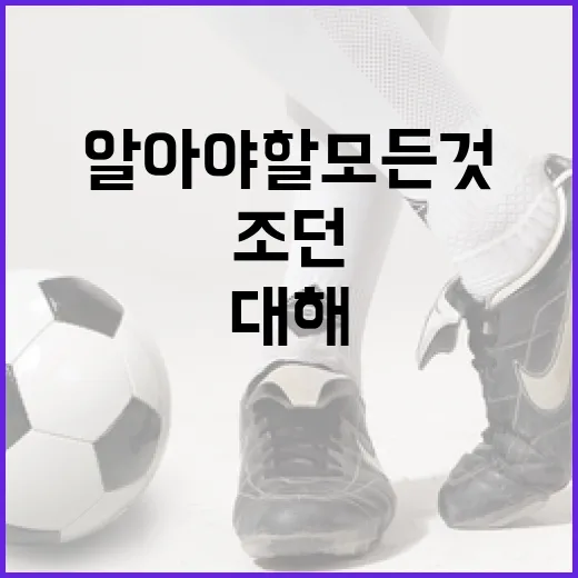 조던 윌슨에 대해 알아야 할 모든 것: 그의 업적과 영향력 - 요약