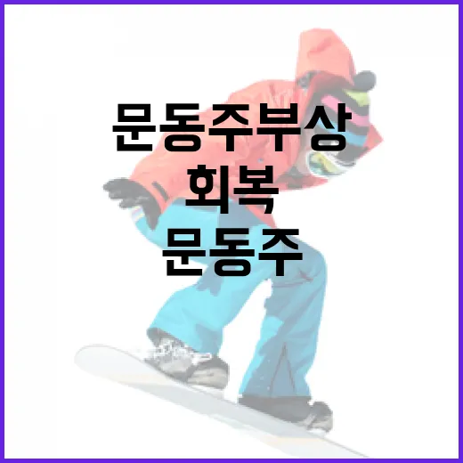 문동주 부상 예방하는 방법과 회복 과정 이해하기 - 요약
