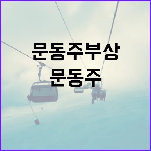 문동주 부상을 예방하는 방법 - 요약