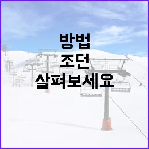 조던 윌슨을 이해하는 방법: 그의 경력을 살펴보세요 - 요약