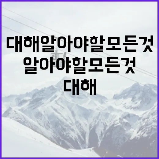 박준영에 대해 알아야 할 모든 것 - 요약