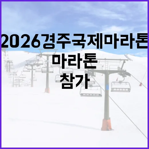 2026 경주국제마라톤 성공적으로 참가하는 방법 - 요약