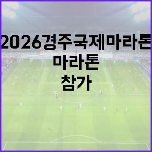 2026 경주국제마라톤에 참가하는 방법 - 요약