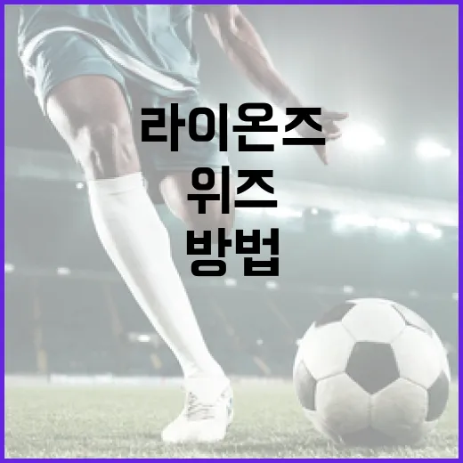 플레이위즈 라이온즈몰을 최대한 활용하는 방법 - 요약