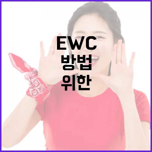 EWC로 가는 길: 성공을 위한 준비 방법 - 요약