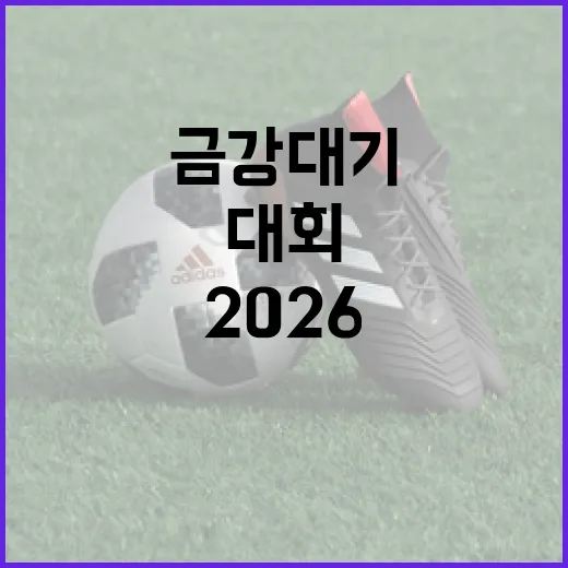 2026 금강대기 대회를 만끽하는 방법 - 요약