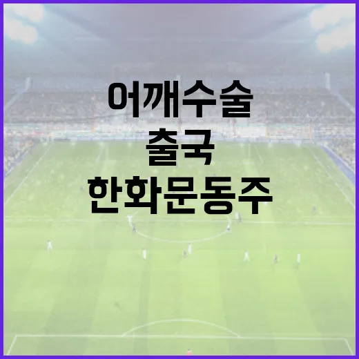 한화 문동주의 어깨 수술과 출국 준비하는 방법 - 요약