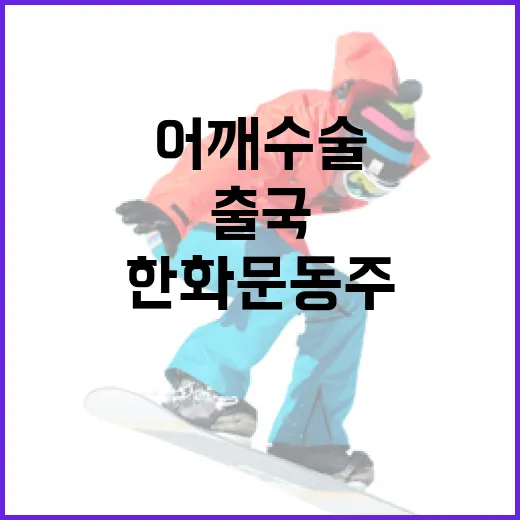 한화 문동주 어깨 수술 출국: 건강 회복을 위한 올바른 절차 - 요약