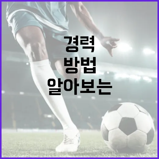 최두호에 대해 알아보는 방법: 그의 경력과 업적 - 요약