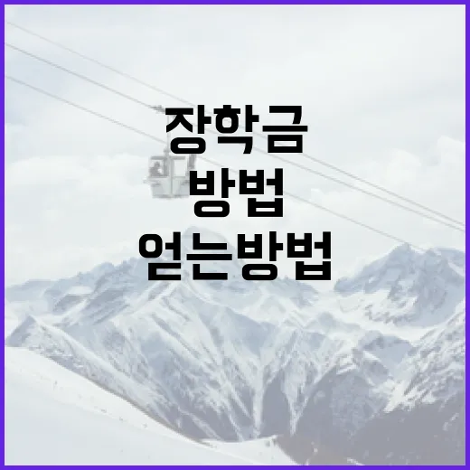 스타라이트 키드를 즐기는 방법 - 요약