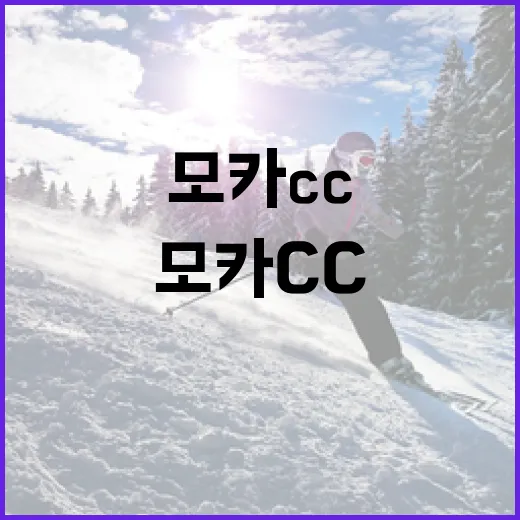 모카cc를 사용하는 방법과 팁 - 요약