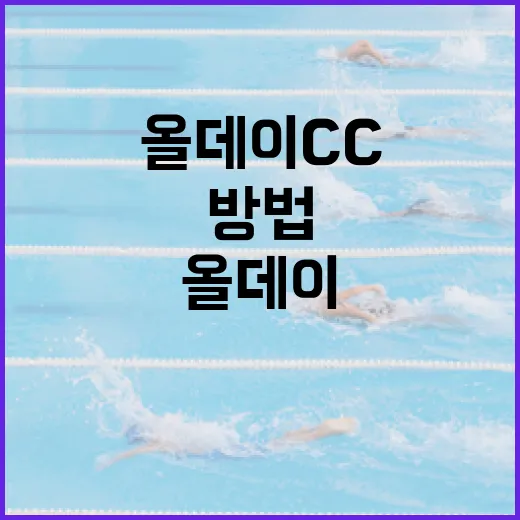 올데이CC를 최대한 활용하는 방법 - 요약