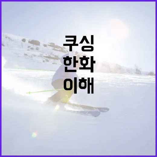 한화 쿠싱을 이해하고 활용하는 방법 - 요약