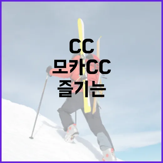 모카cc를 완벽하게 즐기는 방법 - 요약