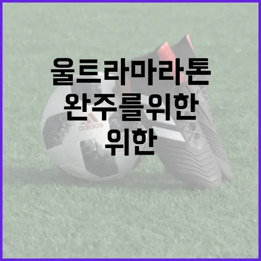 울트라마라톤 완주를 위한 준비 방법 - 요약