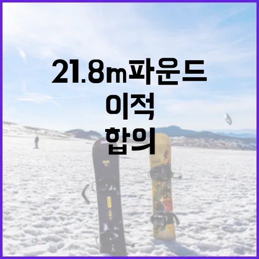 히샬리송 21.8m 파운드 이적합의를 이해하는 방법 - 요약
