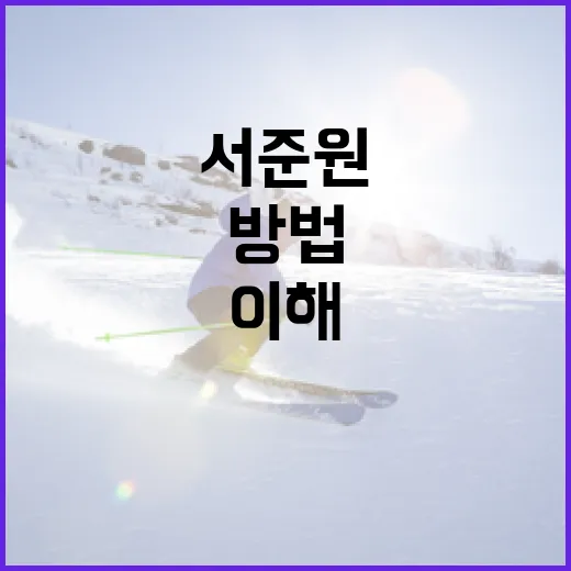 서준원을 이해하고 활용하는 방법 - 요약