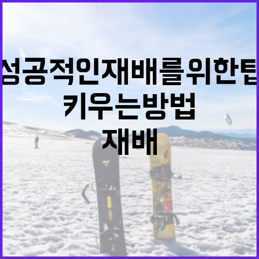 타리박 키우는 방법: 성공적인 재배를 위한 팁 - 요약