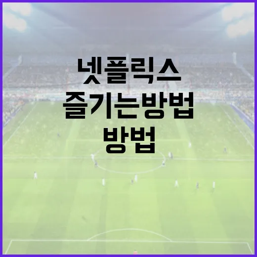 넷플릭스에서 은가누 콘텐츠를 즐기는 방법 - 요약