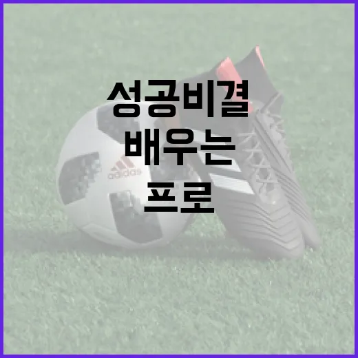 안송이 프로의 성공 비결을 배우는 방법 - 요약