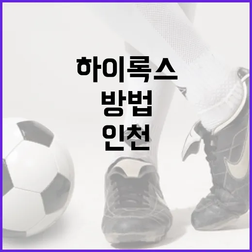 하이록스 인천에서 성공적으로 참여하는 방법 - 요약