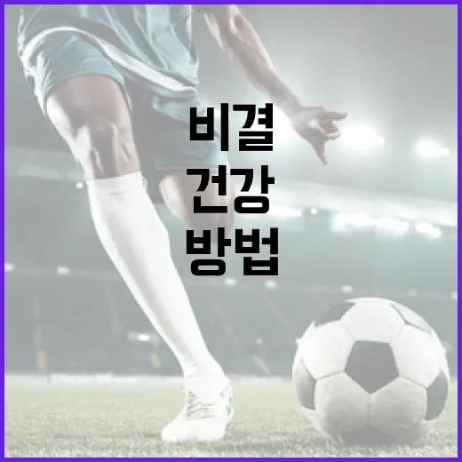 홍진영2프로를 활용하는 방법: 건강하게 즐기는 비결 - 요약