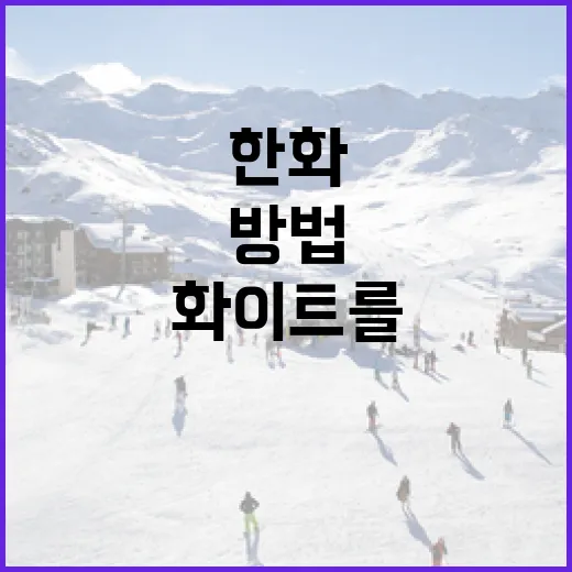 넷플릭스에서 은가누를 즐기는 방법 - 요약