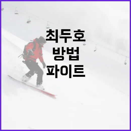 최두호의 파이트머니 알아보는 방법 - 요약
