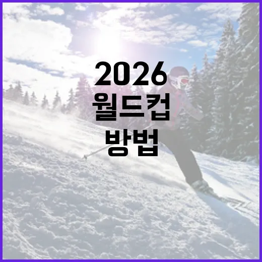 2026 월드컵 일정을 알아보는 방법 - 요약
