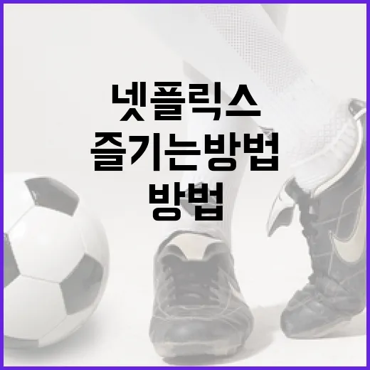 넷플릭스에서 MMA 콘텐츠를 즐기는 방법 - 요약