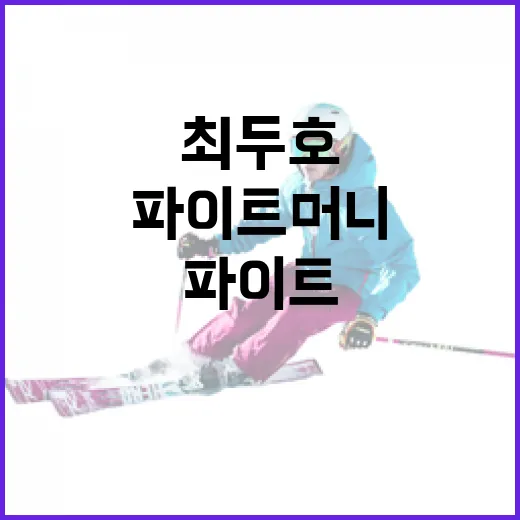 최두호 파이트머니 제대로 이해하기 - 요약