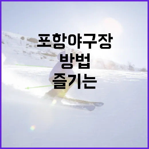 포항야구장을 최대한 즐기는 방법 - 요약