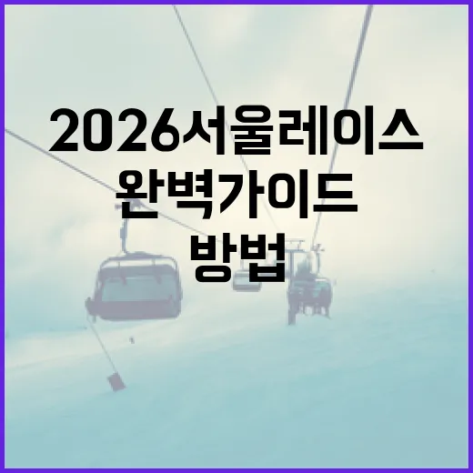 2026 서울레이스 준비하는 방법: 초보자를 위한 완벽 가이드 - 요약