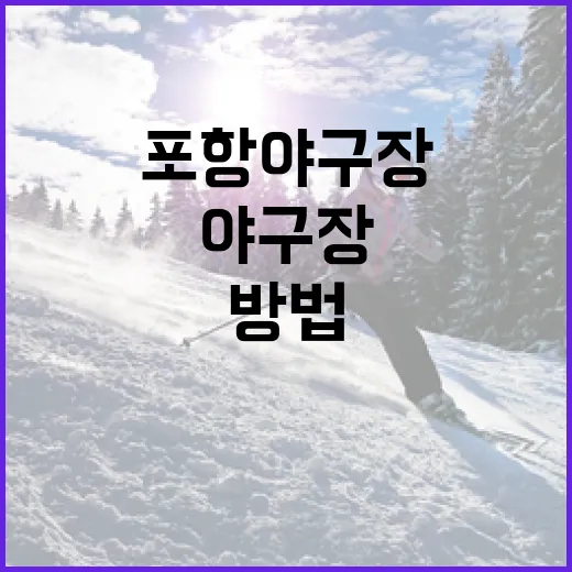 포항야구장에서 즐거운 시간을 보내는 방법 - 요약