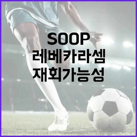 SOOP·레베카 라셈 재회 가능성을 높이는 방법 - 요약