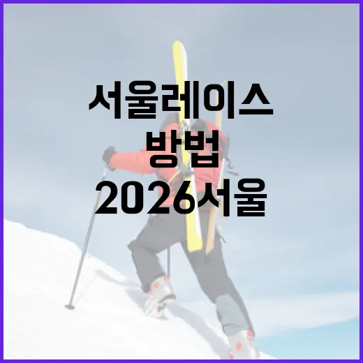 2026 서울레이스를 준비하는 방법 - 요약